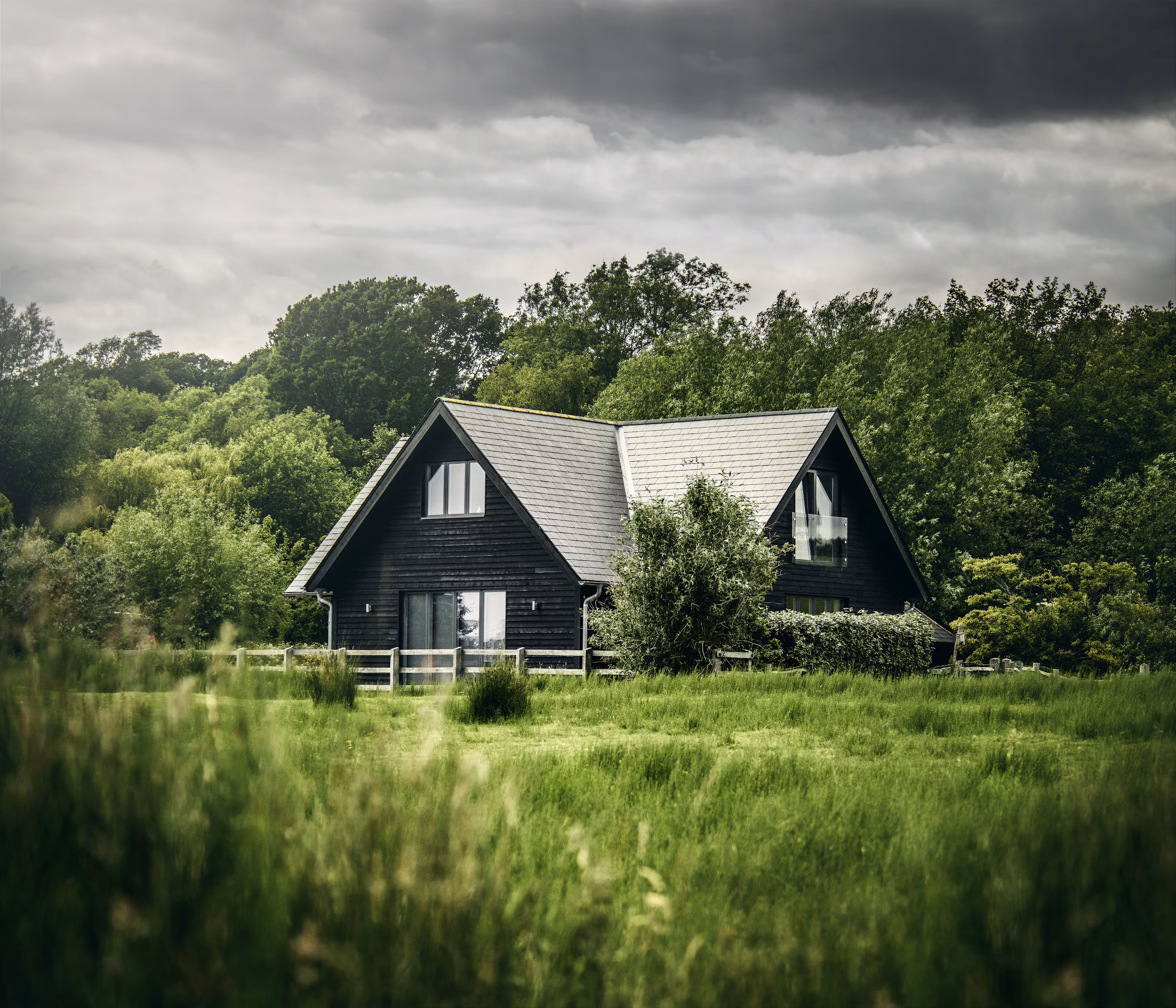 Modern house nestled among green forest trees